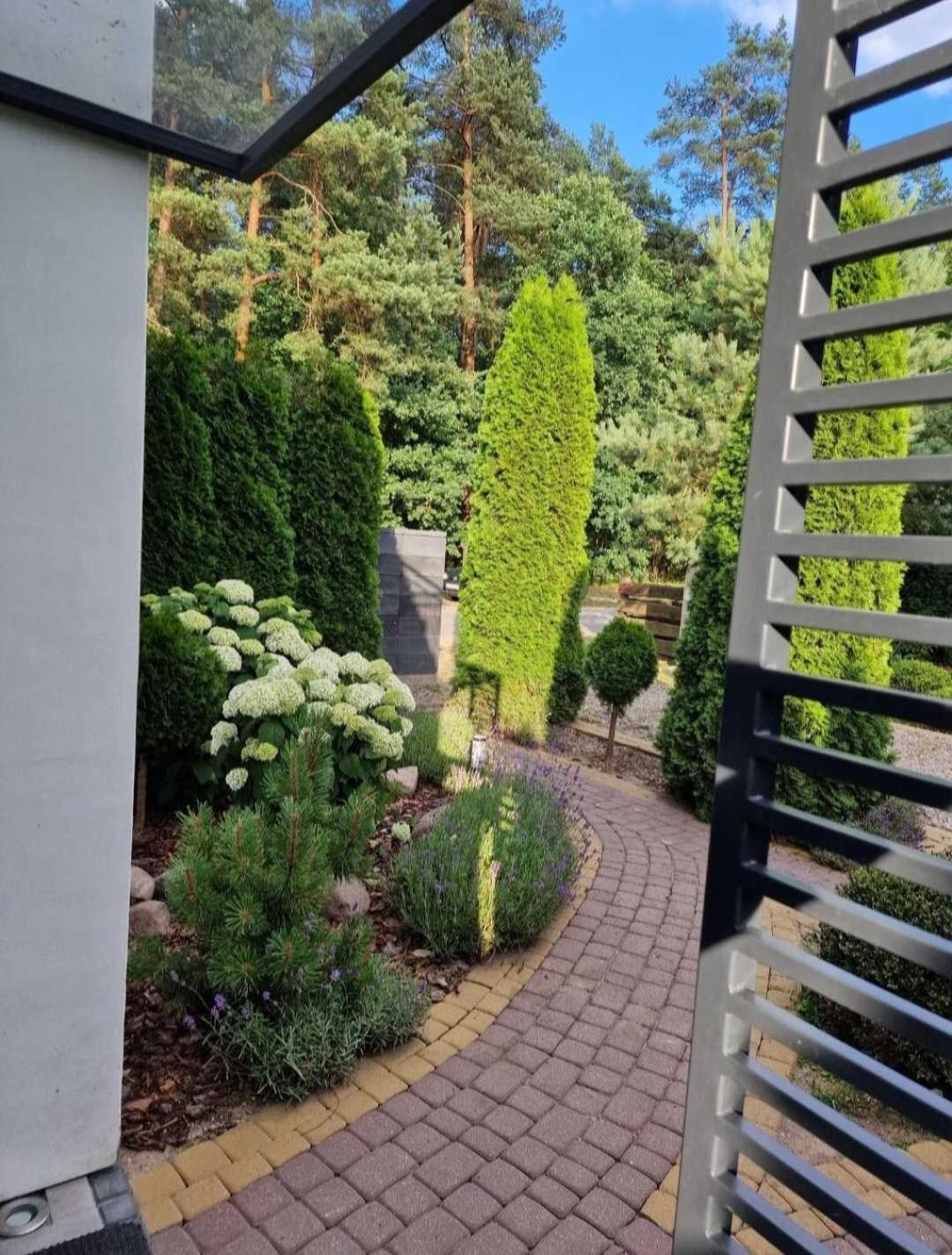 Apartamenty Pod Sosnami Ostroda Miedzylesie 6Os Room photo